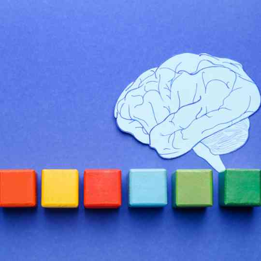 ¿Todos los colores absorben la energía solar por igual? Colores y absorción calor