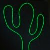 Cuadro Neon