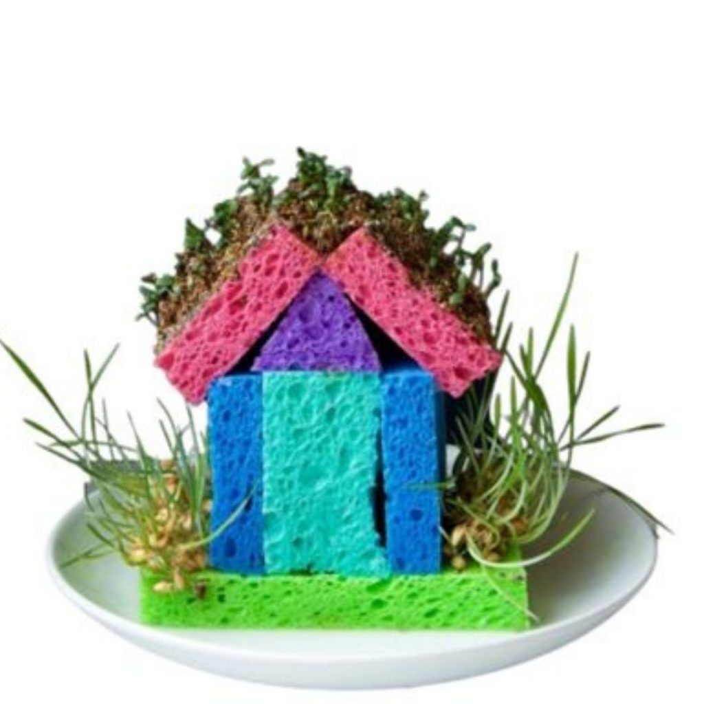 Construir una casa jardín Jardin 1024x1024